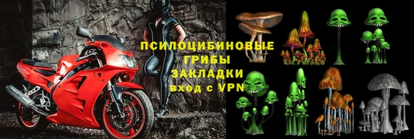 твердый Верхний Тагил