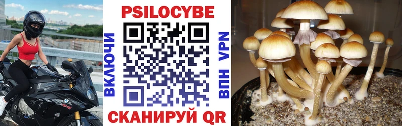 Псилоцибиновые грибы ЛСД Купить где Оса