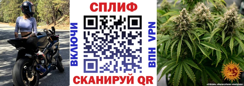 Купить  Оса  Марихуана VHQ 